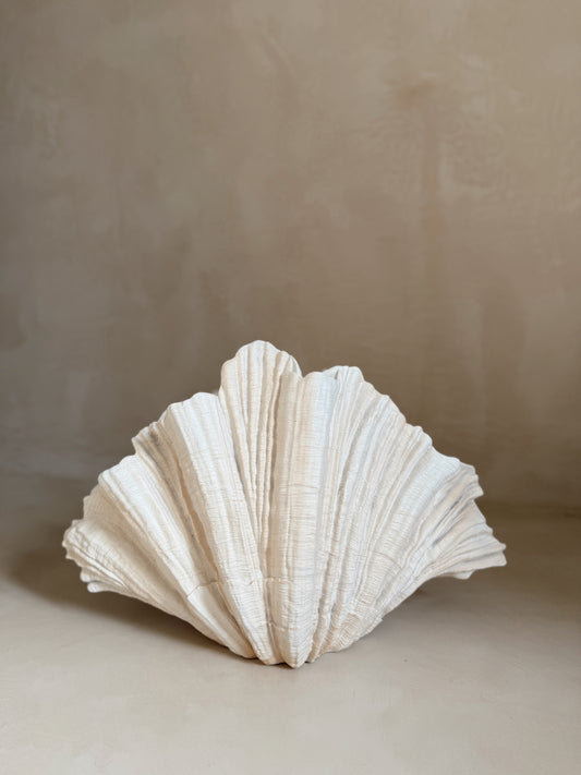 Shell