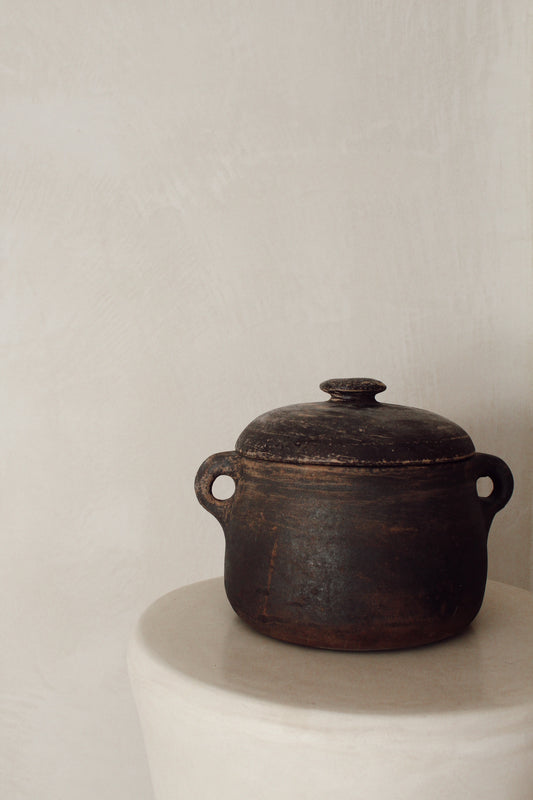 Earthern stew pot